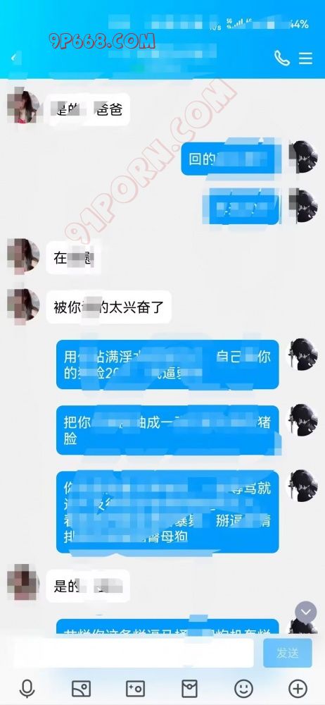 网调野爹
