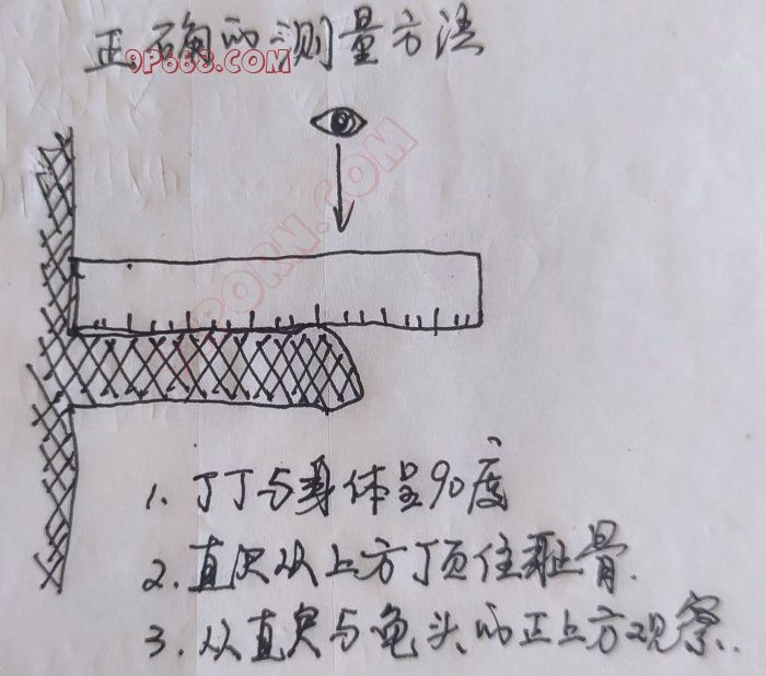 看看你的鸡吧有没有被你测量错误，接龙参数吧！