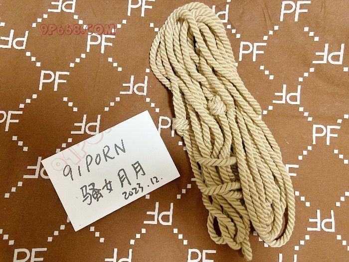 被绑起来羞辱的05年小母狗