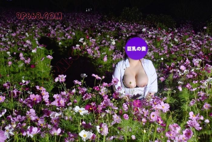 023 乳交神器