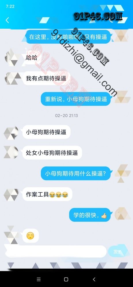 淫荡小处女聊天记录分享 图片接龙