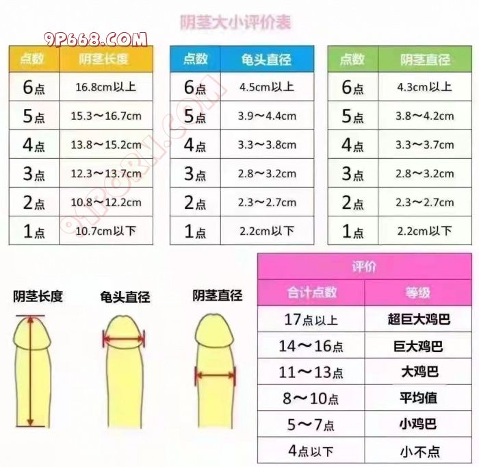 看到鸡巴大小的帖子再来个鸡巴评分的图看下自己的分数