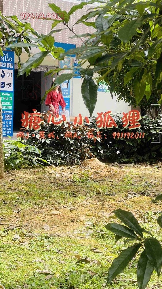 【闽J小狐狸】P82，情在山水间，爱在树林处~