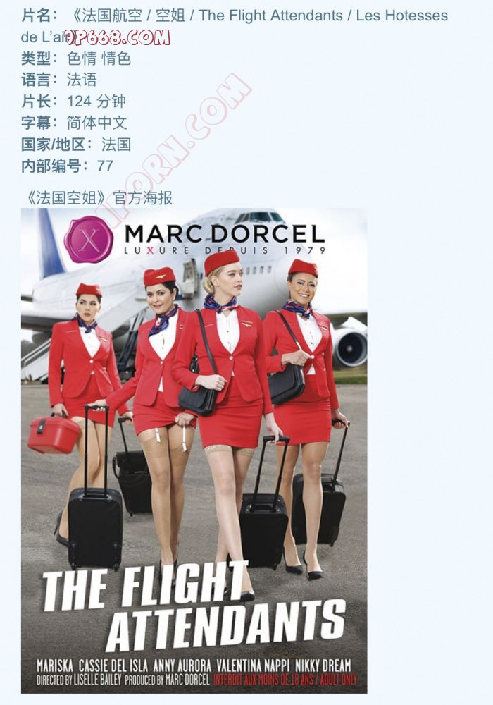 欧美经典➠法国空姐+高压监狱+灭火宝贝