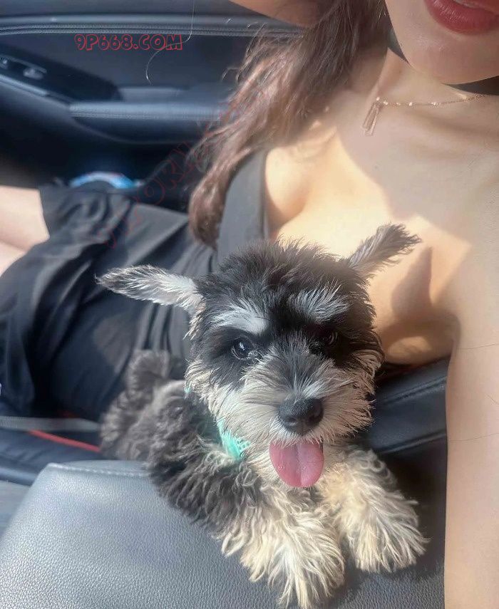 这女的老公也太有福了吧