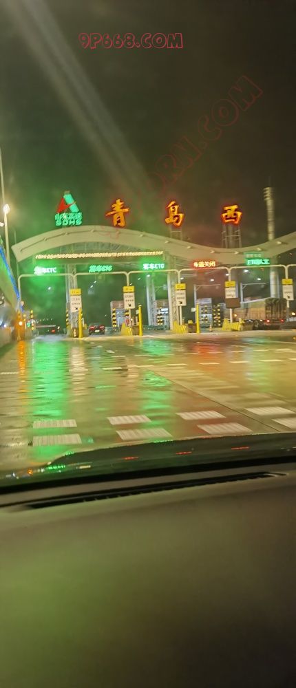 满20楼补身材照，花背母狗