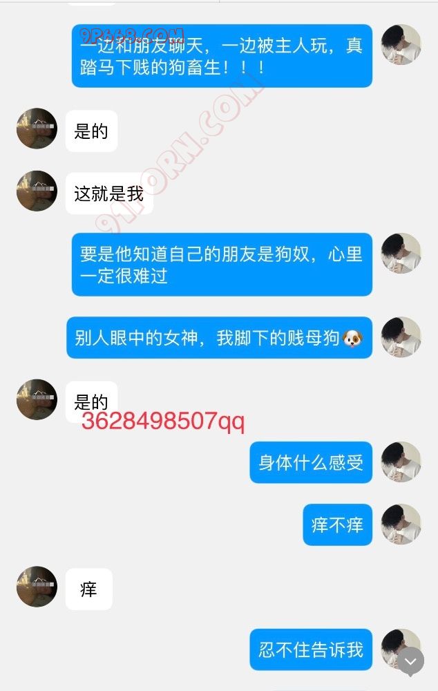 网调大学母狗m女（收母狗，网调）