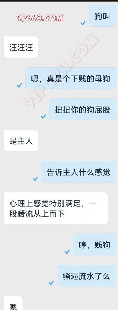 网调